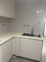 Casa Sarina (D14), Condominium #489139371